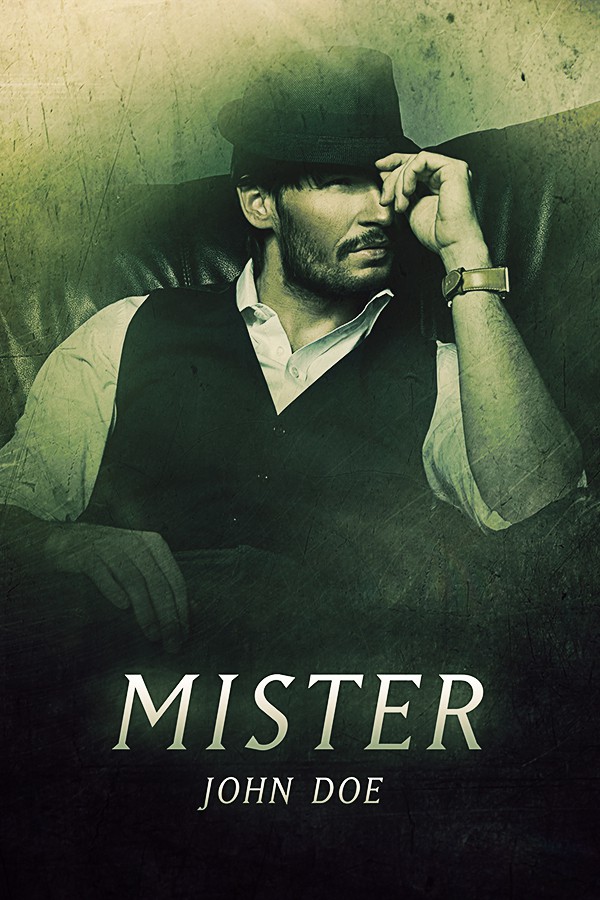 the mister novel