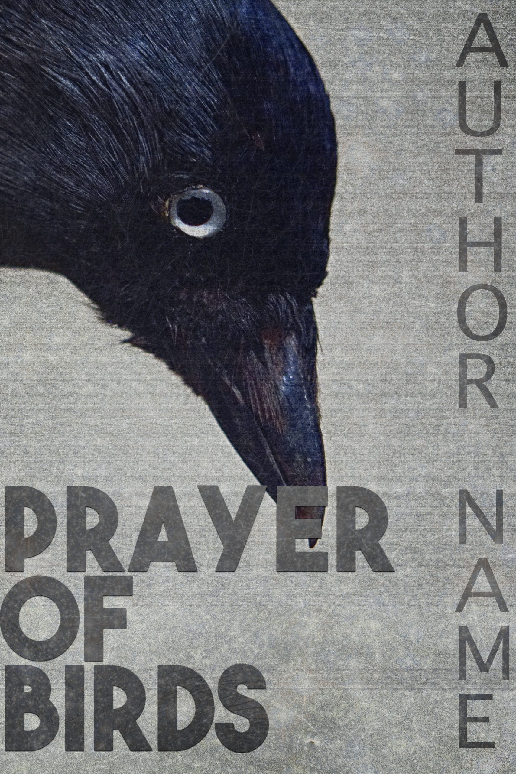 prayer-of-birds-the-book-cover-designer