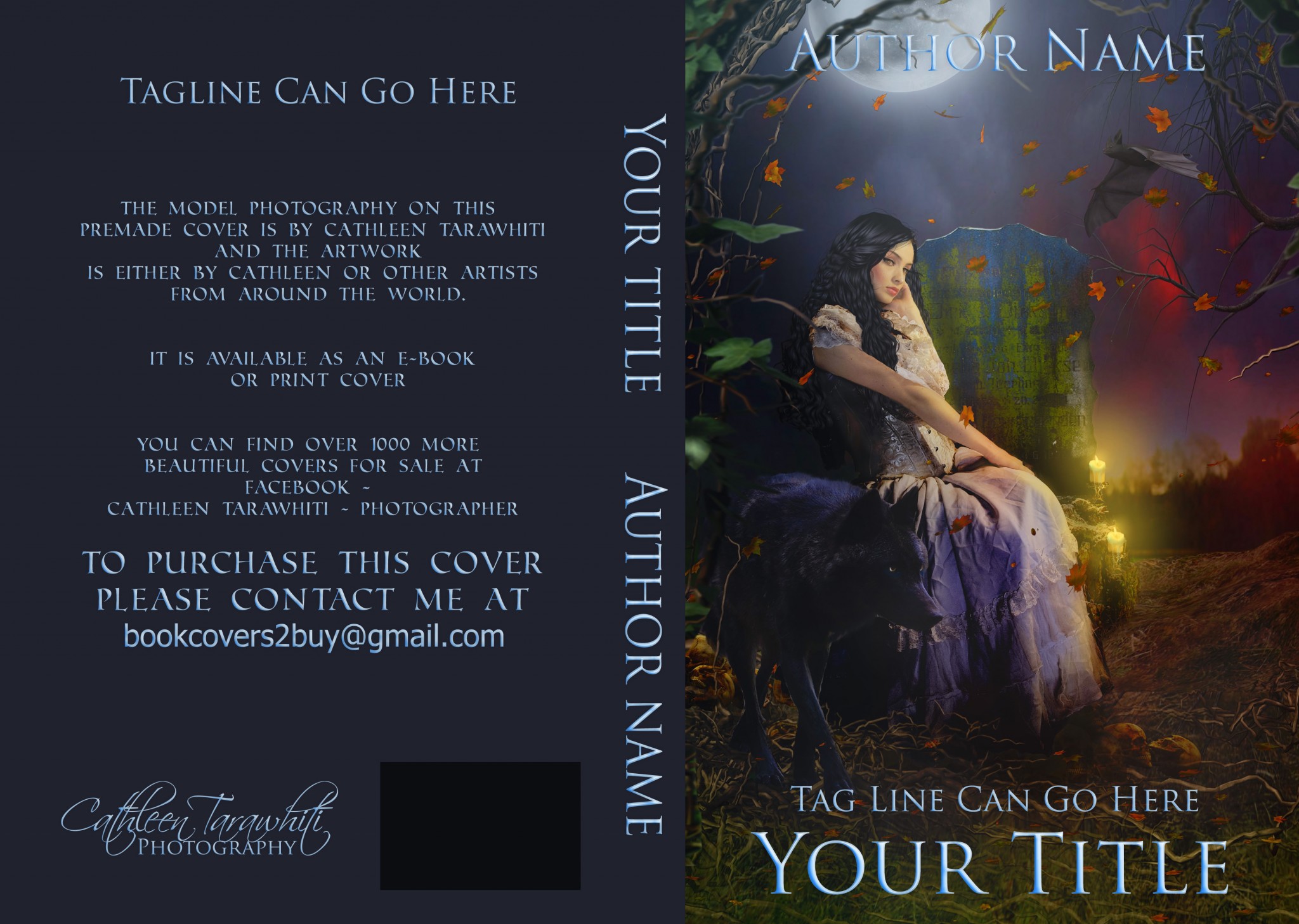 The Cemetery The Book Cover Designer The Cemetery The Book Cover Designer