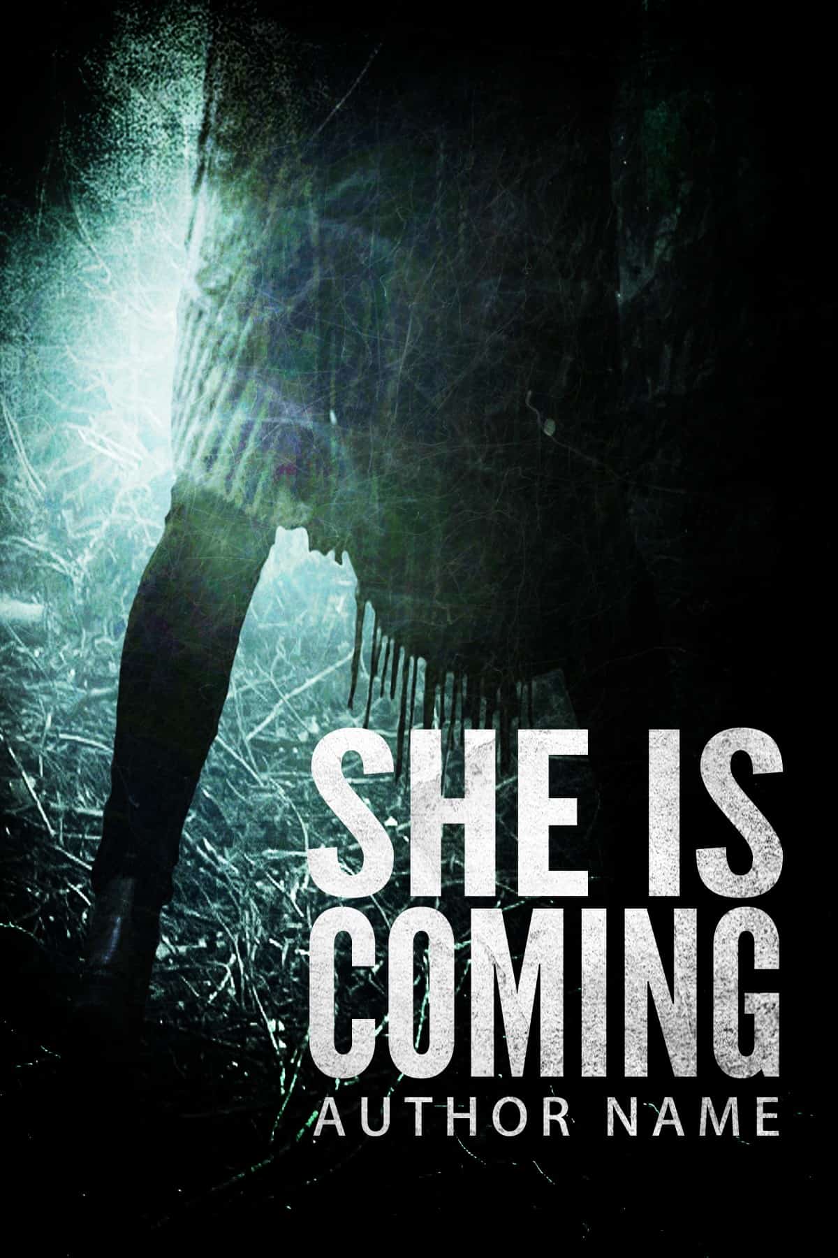 she-is-coming-the-book-cover-designer