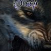 WHERE WOLVES SLEEP, Fantasy, YA, NA, Paranormal