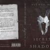 Secrets and shadows - Image 3