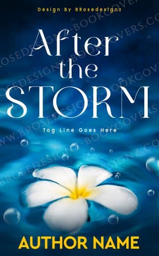 After the Storm