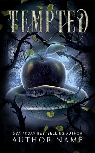 Premade Fantasy Book Cover – Fairytale Object Design for Magical or Whimsical Stories