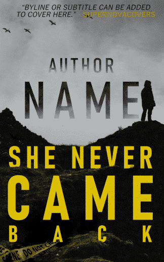 Murder Mystery cover showing silhouette of woman standing on hilltop. Title reads: She Never Came Back