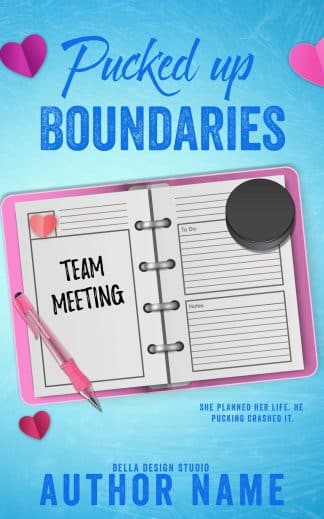 Puck up boundaries