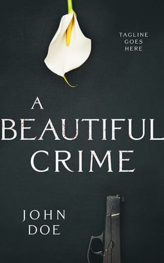A Beautiful Crime