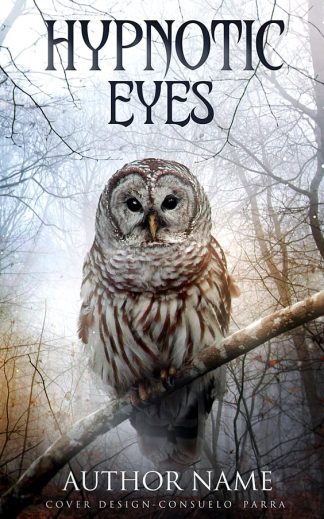 Premade Fantasy, Mystery, Young Adult Ebook Cover: Hypnotic eyes