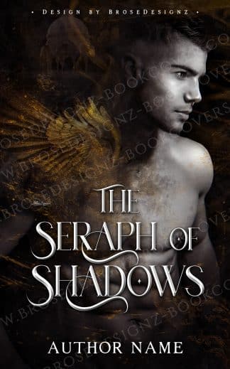 Premade Fantasy, Romance Ebook Cover: The Seraph of shadows