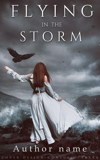 Ready Made Literary Fiction, Young Adult Book Cover: Flying in the Storm