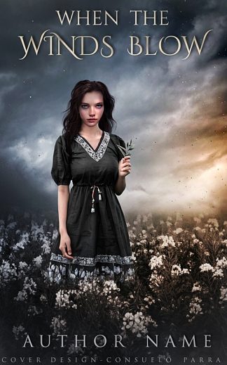 Ready Made Romance, Young Adult Book Cover: When the Winds Blow