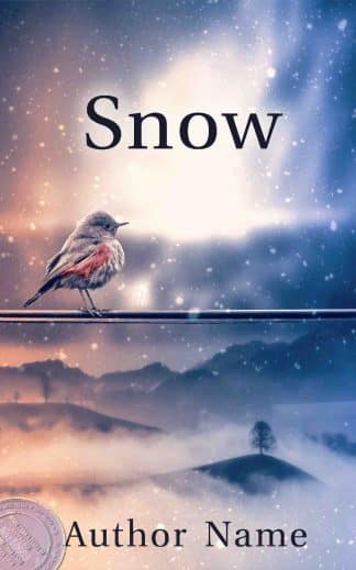 Ready Made Literary Fiction, Non-Fiction Ebook Cover: DesignBetiBup33 No10603