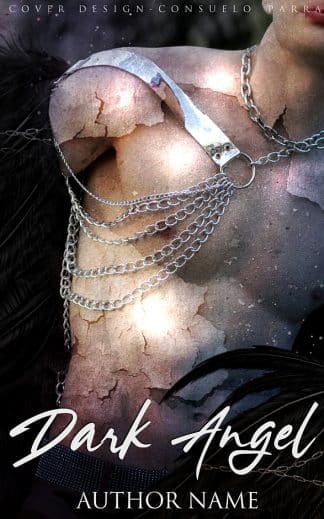 Ready Made Romance, Young Adult Book Cover: Dark Angel